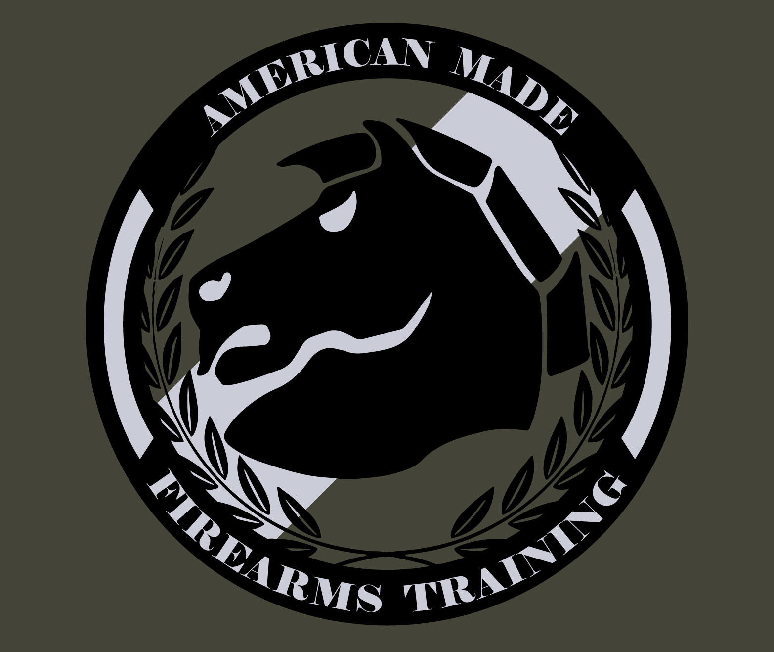 American Made Firearms Training